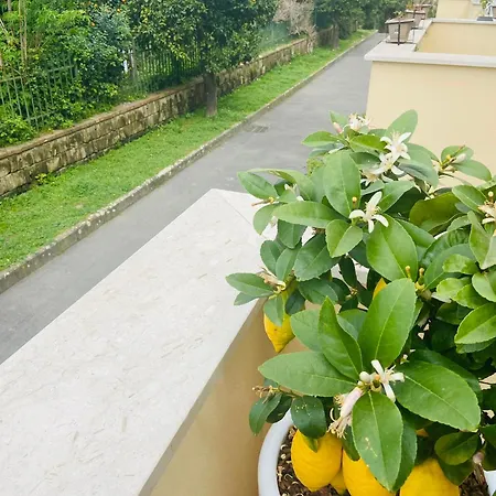 Sakura House Casa de Férias Sorrento